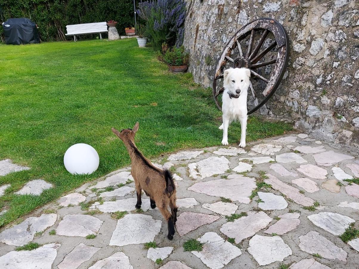 Agriturismo Campagna In Compagnia Vallo di Nera Dış mekan fotoğraf