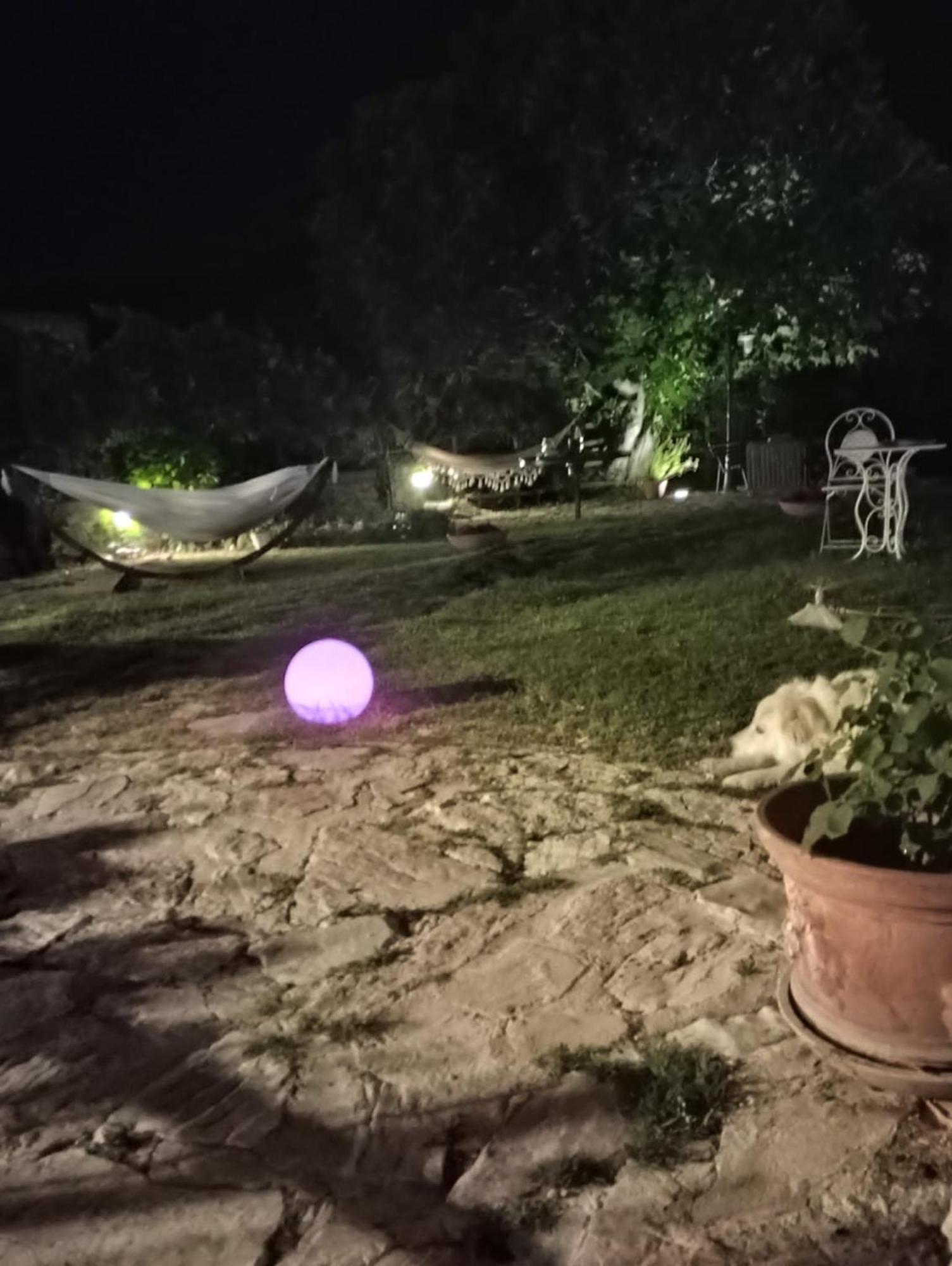 Agriturismo Campagna In Compagnia Vallo di Nera Dış mekan fotoğraf