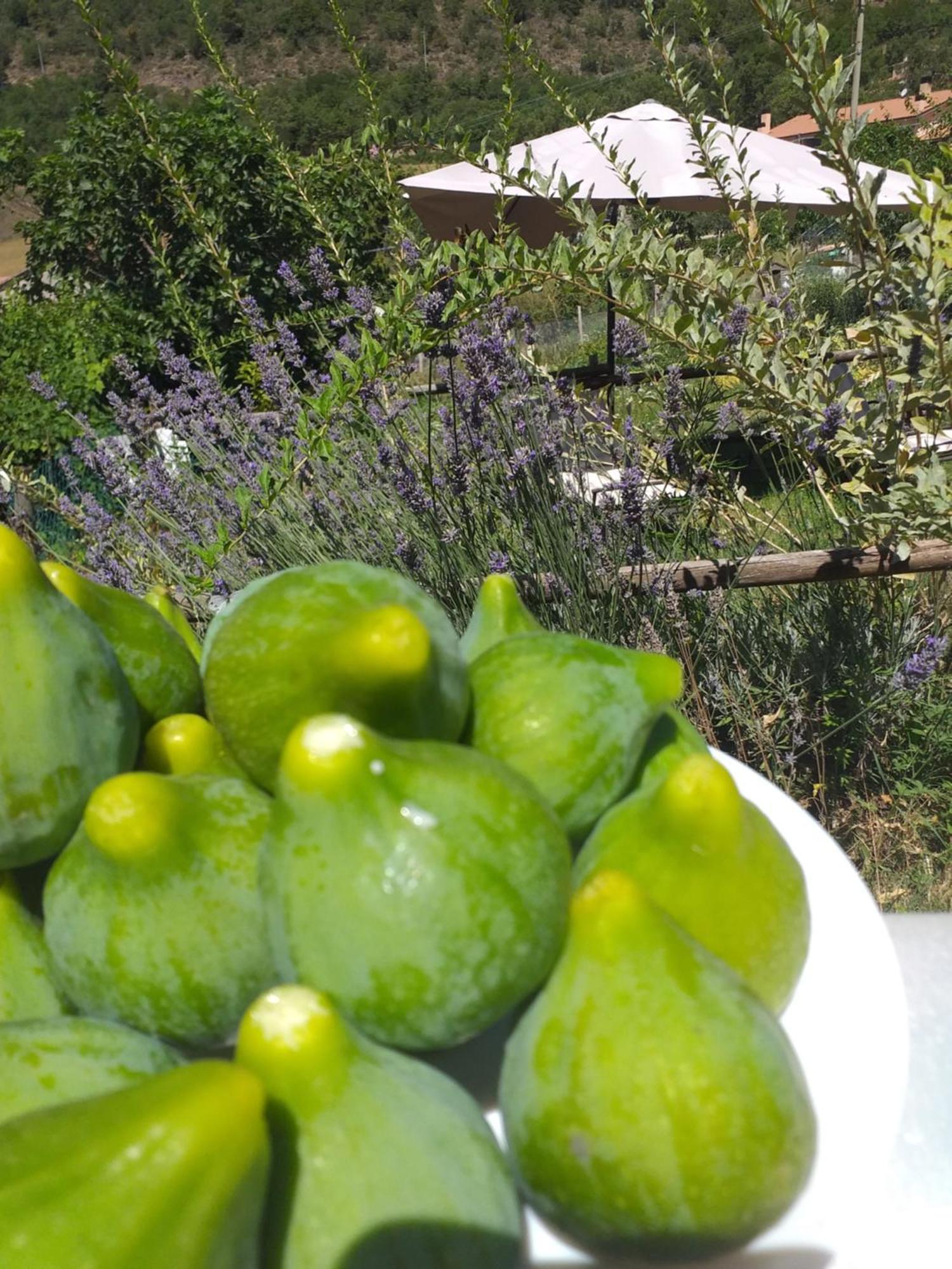 Agriturismo Campagna In Compagnia Vallo di Nera Dış mekan fotoğraf