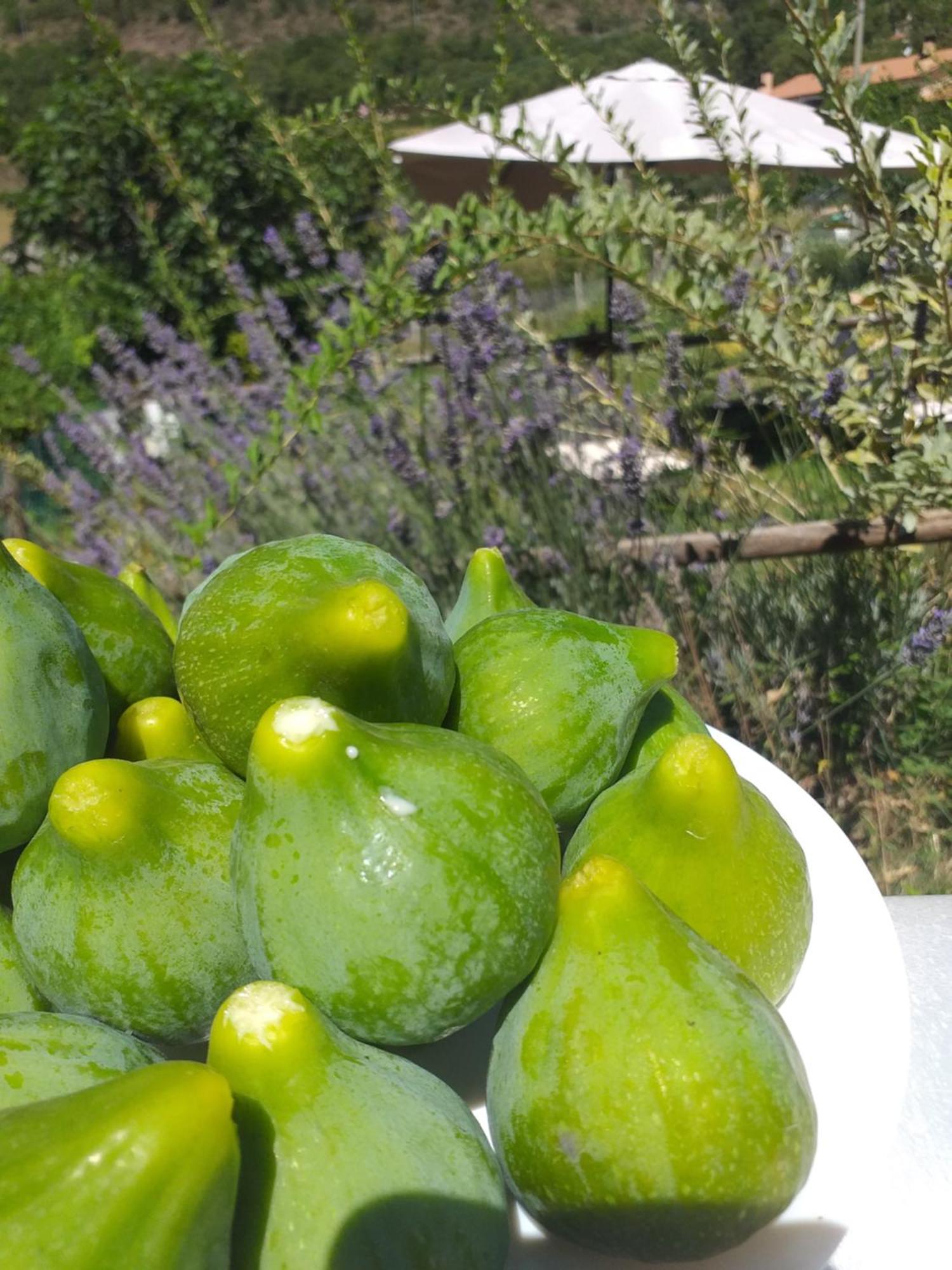 Agriturismo Campagna In Compagnia Vallo di Nera Dış mekan fotoğraf