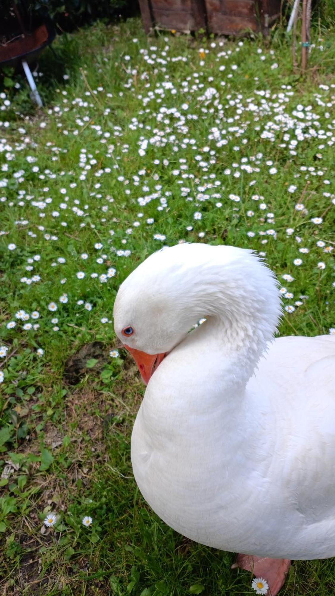 Agriturismo Campagna In Compagnia Vallo di Nera Dış mekan fotoğraf