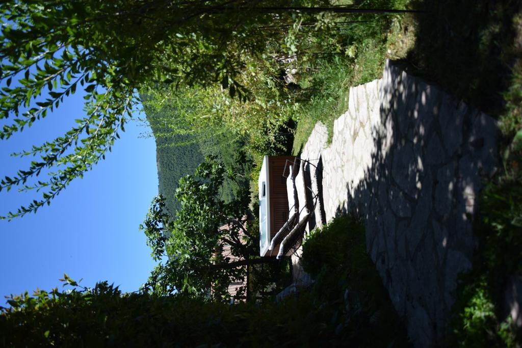 Agriturismo Campagna In Compagnia Vallo di Nera Dış mekan fotoğraf