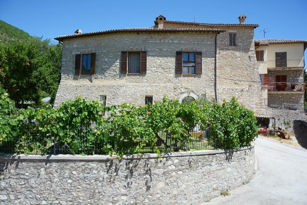 Agriturismo Campagna In Compagnia Vallo di Nera Dış mekan fotoğraf