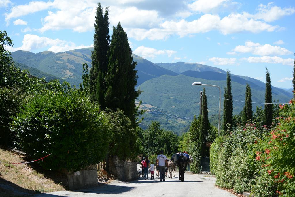 Agriturismo Campagna In Compagnia Vallo di Nera Dış mekan fotoğraf
