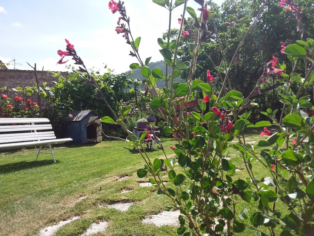 Agriturismo Campagna In Compagnia Vallo di Nera Dış mekan fotoğraf