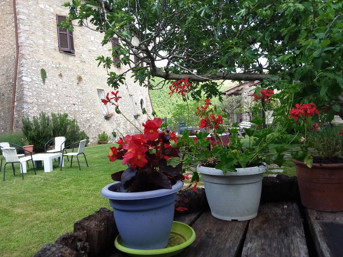 Agriturismo Campagna In Compagnia Vallo di Nera Dış mekan fotoğraf