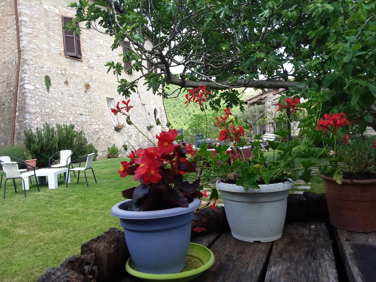 Campagna In Compagnia Villa Vallo di Nera Dış mekan fotoğraf